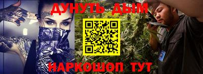 прущие грибы Ставрополь