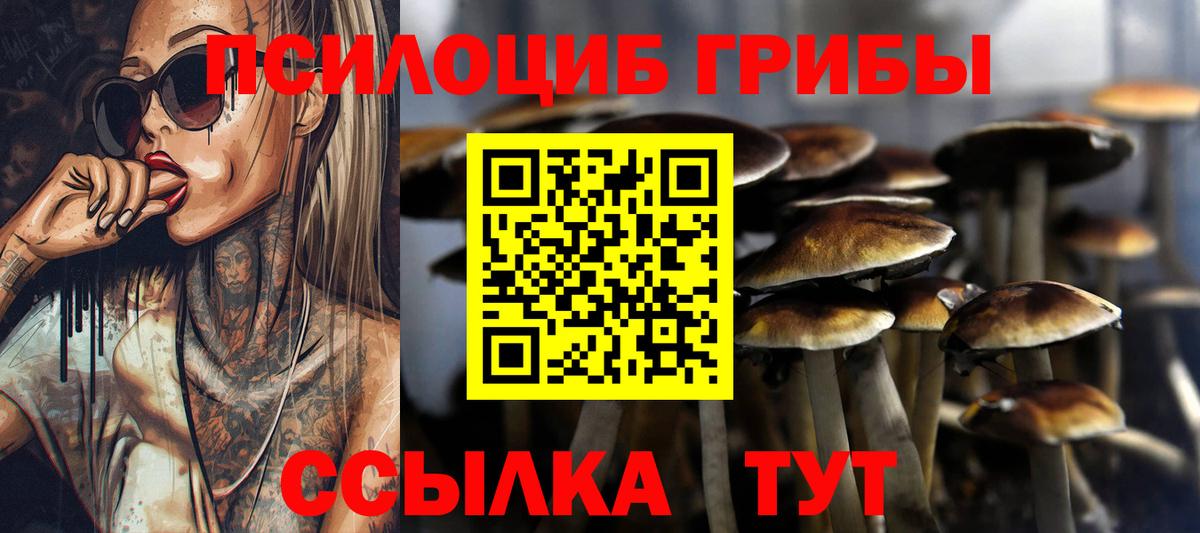 Малоярославец  наркошоп  Вход с VPN  Псилоцибиновые грибы MAGIC MUSHROOMS 