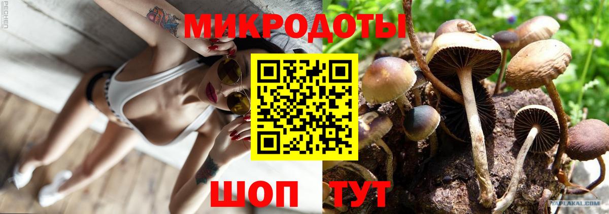 Каннабис  ГАШ  Alpha-PVP СК кристаллы  Малоярославец  Экстази  Вход с VPN  Меф МЯУ МЯУ  